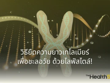 ไขรหัส "เทโลเมียร์" (Telomere) ตัวชี้วัดความชราภาพที่ปลายโครโมโซม! ค้นพบสาเหตุที่ทำให้เทโลเมียร์สั้นลง พร้อมวิธีชะลอวัยและยืดความยาวเทโลเมียร์ด้วยไลฟ์สไตล์ที่ทำได้จริง