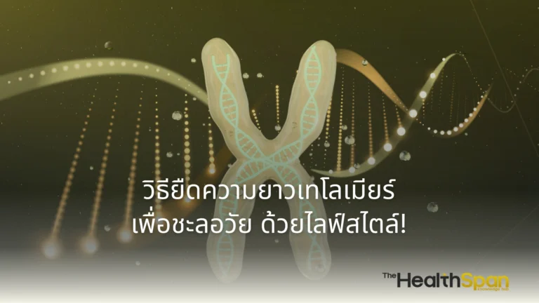 ไขรหัส "เทโลเมียร์" (Telomere) ตัวชี้วัดความชราภาพที่ปลายโครโมโซม! ค้นพบสาเหตุที่ทำให้เทโลเมียร์สั้นลง พร้อมวิธีชะลอวัยและยืดความยาวเทโลเมียร์ด้วยไลฟ์สไตล์ที่ทำได้จริง