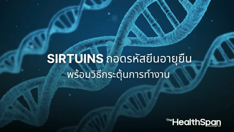 Sirtuins ถอดรหัสยีนอายุยืนพร้อมวิธีกระตุ้นการทำงาน
