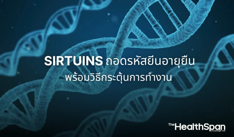 Sirtuins ถอดรหัสยีนอายุยืนพร้อมวิธีกระตุ้นการทำงาน