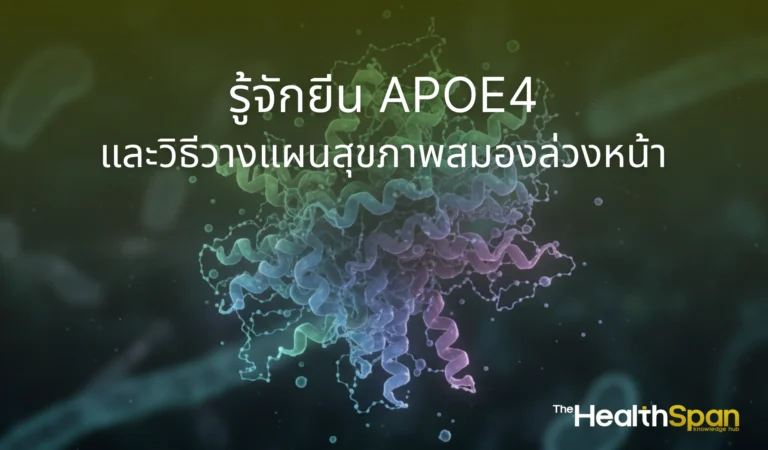 รู้จักยีน APOE4 และวิธีวางแผนสุขภาพสมองล่วงหน้า