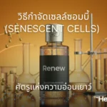 how to remove zombie cells