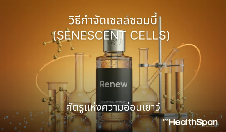 วิธีกำจัดเซลล์ซอมบี้ (Senescent Cells) ศัตรูความอ่อนเยาว์