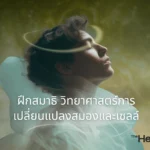 science of meditation brain cellular changes