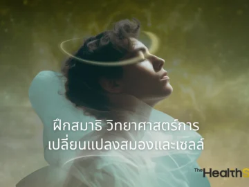 science of meditation brain cellular changes