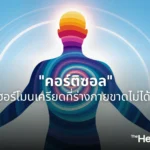 คอร์ติซอล ฮอร์โมนเครียดที่ร่างกายขาดไม่ได้