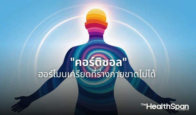 คอร์ติซอล ฮอร์โมนเครียดที่ร่างกายขาดไม่ได้