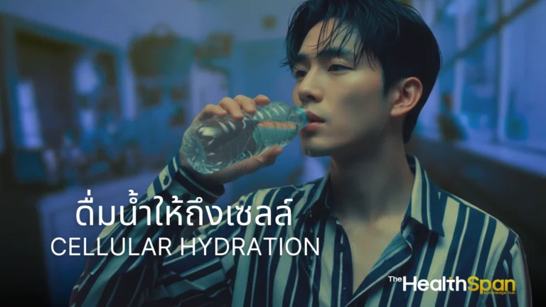 ดื่มน้ำให้ถึงเซลล์ ทำความรู้จัก Cellular Hydration