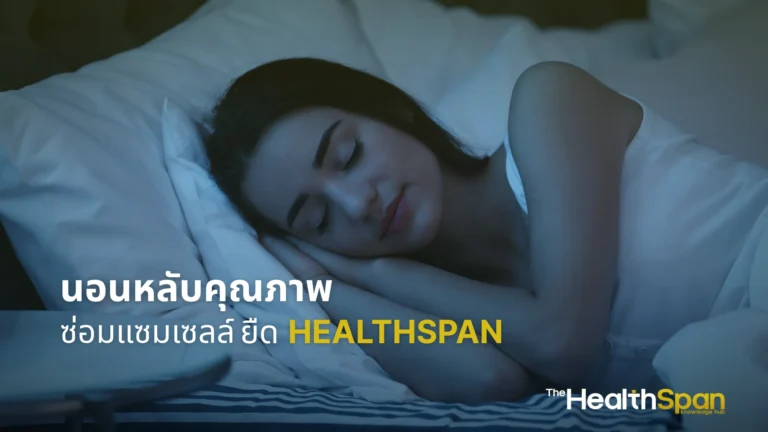 นอนหลับคุณภาพ เวลาทองซ่อมแซมเซลล์ และยืด Healthspan