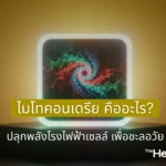 ไมโทคอนเดรีย คืออะไร