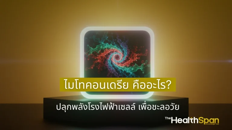 ไมโทคอนเดรีย คืออะไร