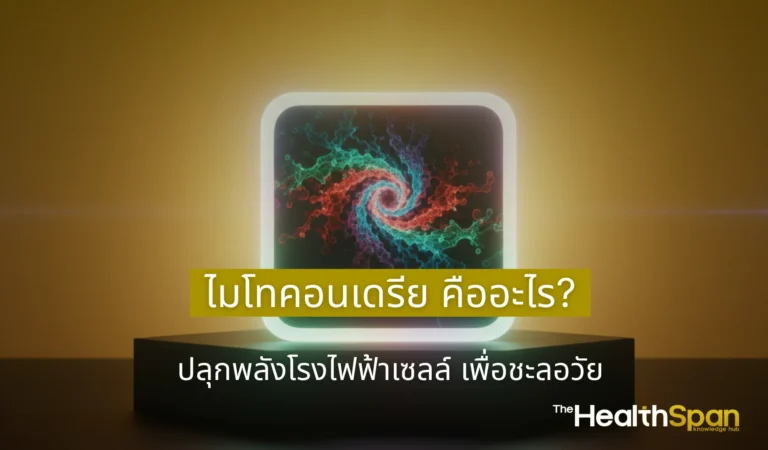 ไมโทคอนเดรีย คืออะไร
