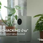 5 วิธี Biohacking บ้าน ลดสารพิษเพื่อสุขภาพระดับเซลล์