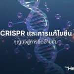 AI กับ Longevity จากการวินิจฉัยโรคสู่การค้นหาสูตรยาอายุวัฒนะ