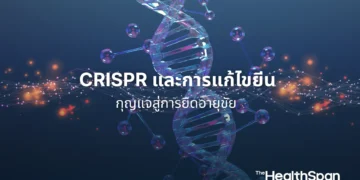 AI กับ Longevity จากการวินิจฉัยโรคสู่การค้นหาสูตรยาอายุวัฒนะ