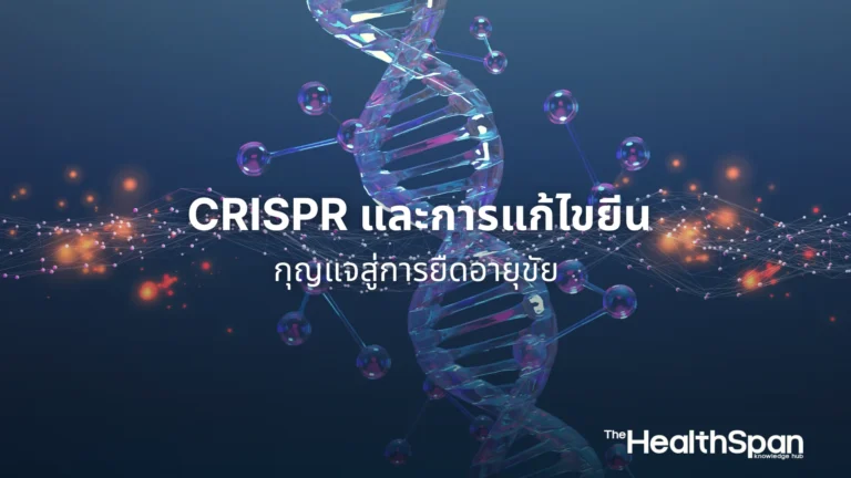 AI กับ Longevity จากการวินิจฉัยโรคสู่การค้นหาสูตรยาอายุวัฒนะ