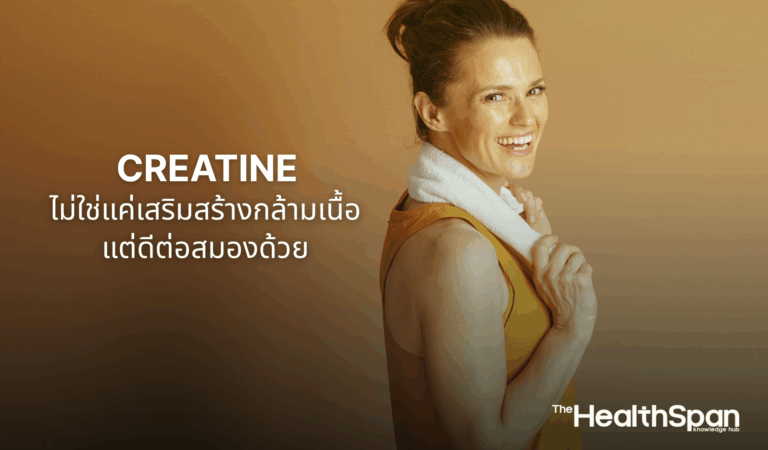 Creatine ไม่ใช่แค่เสริมสร้างกล้ามเนื้อ แต่ยังดีต่อสมอง
