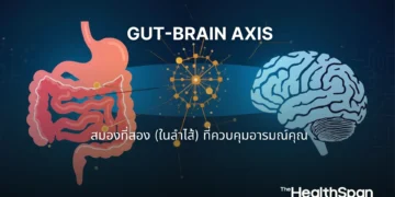 Gut-Brain Axis สมองที่สอง (ในลำไส้) ที่ควบคุมอารมณ์คุณ