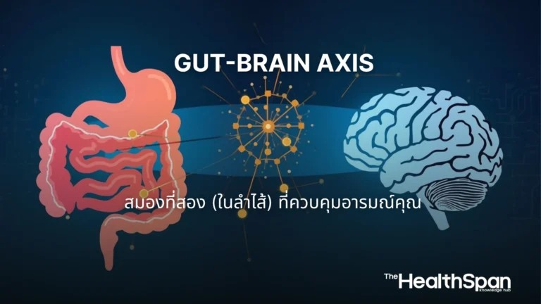 Gut-Brain Axis สมองที่สอง (ในลำไส้) ที่ควบคุมอารมณ์คุณ