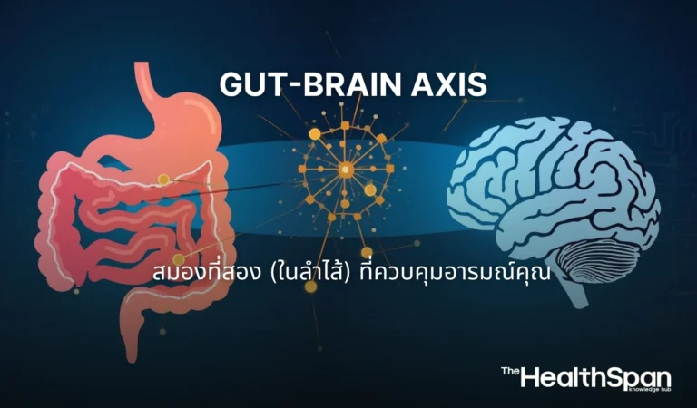 Gut-Brain Axis สมองที่สอง (ในลำไส้) ที่ควบคุมอารมณ์คุณ