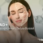 NAD+กุญแจสู่ความเยาว์วัยในระดับเซลล์