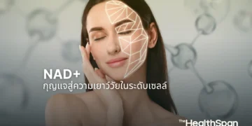 NAD+กุญแจสู่ความเยาว์วัยในระดับเซลล์