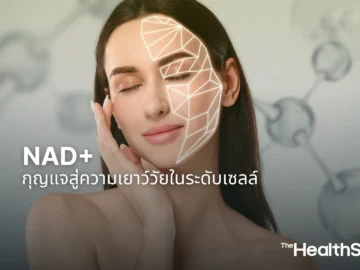 NAD+กุญแจสู่ความเยาว์วัยในระดับเซลล์