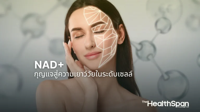 NAD+กุญแจสู่ความเยาว์วัยในระดับเซลล์