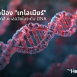 ปกป้อง เทโลเมียร์ เคล็ดลับชะลอวัยในระดับ DNA