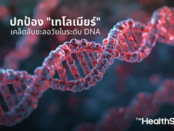ปกป้อง เทโลเมียร์ เคล็ดลับชะลอวัยในระดับ DNA