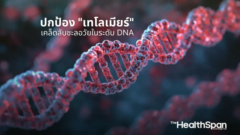 ปกป้อง เทโลเมียร์ เคล็ดลับชะลอวัยในระดับ DNA