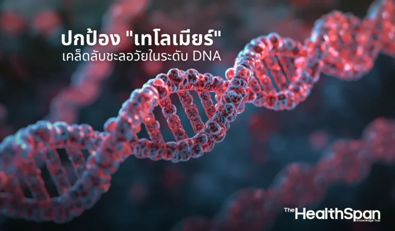 ปกป้อง เทโลเมียร์ เคล็ดลับชะลอวัยในระดับ DNA