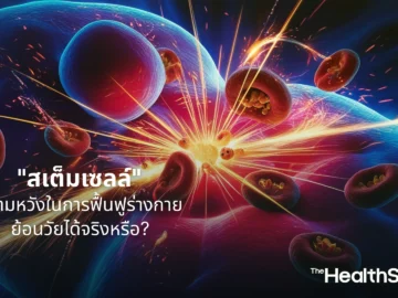 สเต็มเซลล์ ความหวังในการฟื้นฟูร่างกาย ย้อนวัยได้จริงหรือ