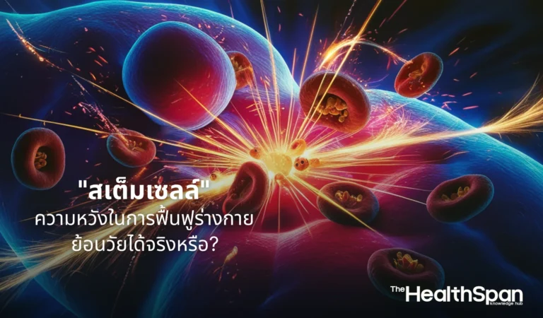 สเต็มเซลล์ ความหวังในการฟื้นฟูร่างกาย ย้อนวัยได้จริงหรือ