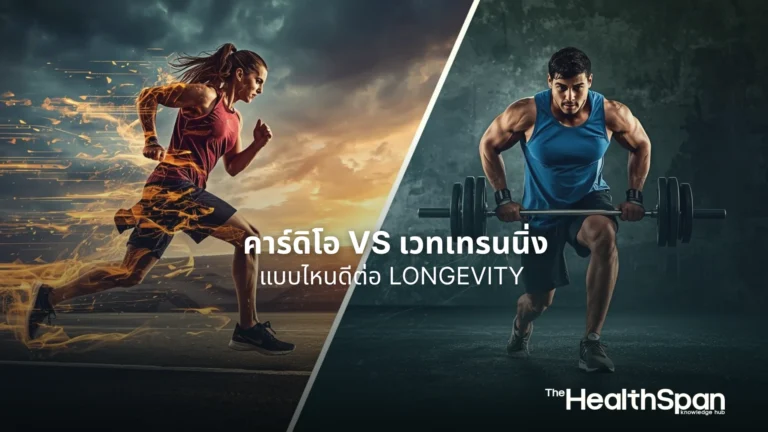 ออกกำลังกาย คาร์ดิโอ vs เวทเทรนนิ่ง แบบไหนดีต่อ Longevity